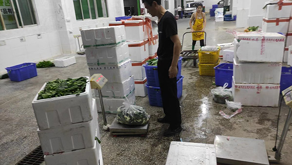 口譯碳足跡